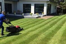 External, Cleaning & Environmental Cutting lines into a lawn